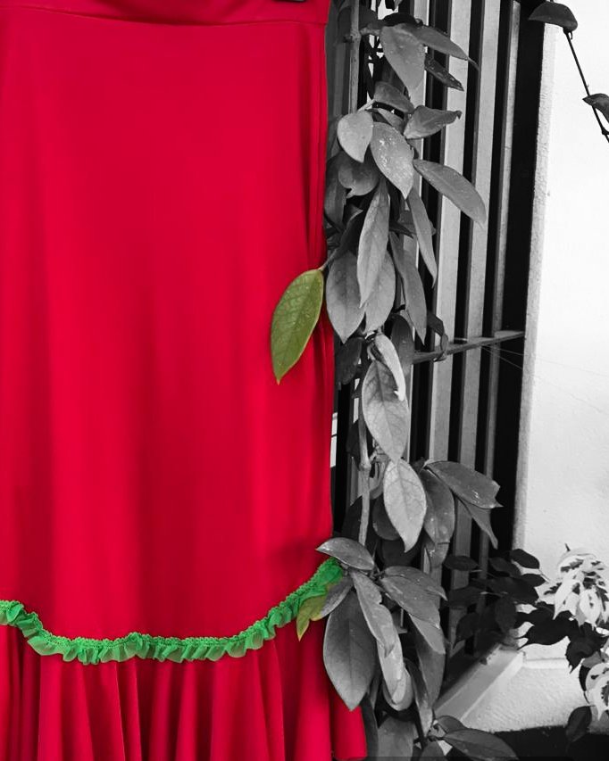 Falda Valentina - Imagen 2